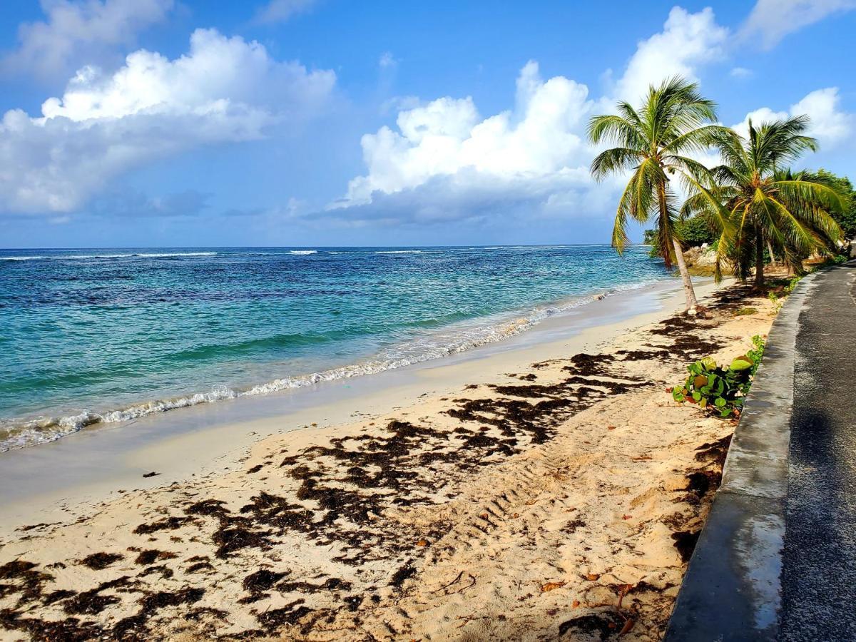 Villa L'Anjou Creole A Sainte Anne En Guadeloupe Avec Piscine Privee Et 2 Chambres Pour 4 Personnes Exterior photo