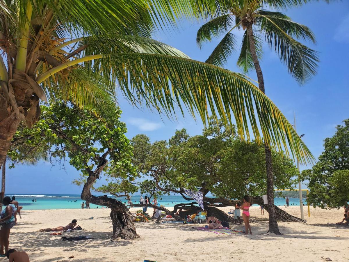 Villa L'Anjou Creole A Sainte Anne En Guadeloupe Avec Piscine Privee Et 2 Chambres Pour 4 Personnes Exterior photo