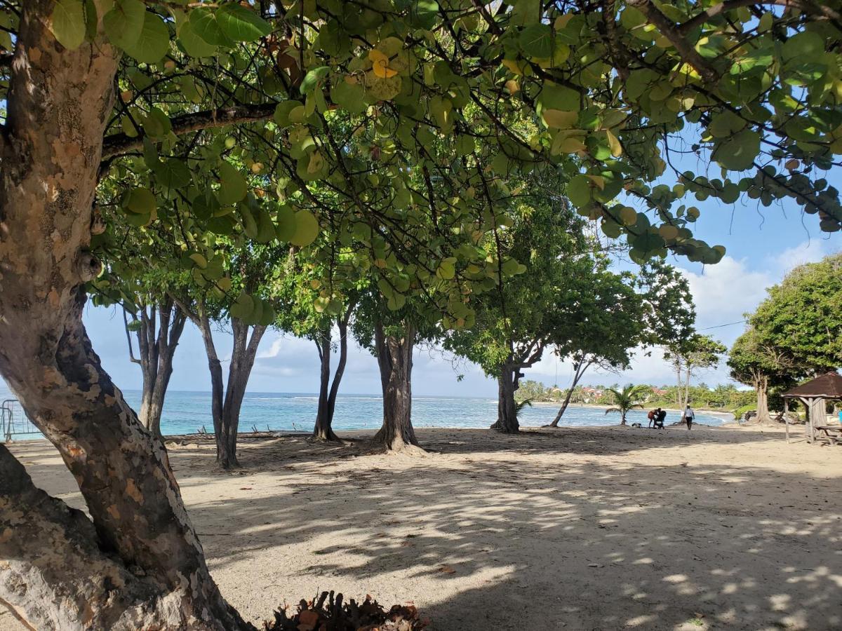 Villa L'Anjou Creole A Sainte Anne En Guadeloupe Avec Piscine Privee Et 2 Chambres Pour 4 Personnes Exterior photo