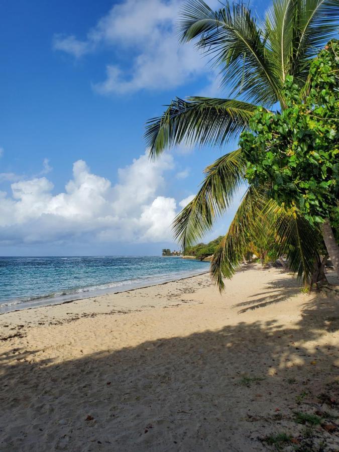 Villa L'Anjou Creole A Sainte Anne En Guadeloupe Avec Piscine Privee Et 2 Chambres Pour 4 Personnes Exterior photo