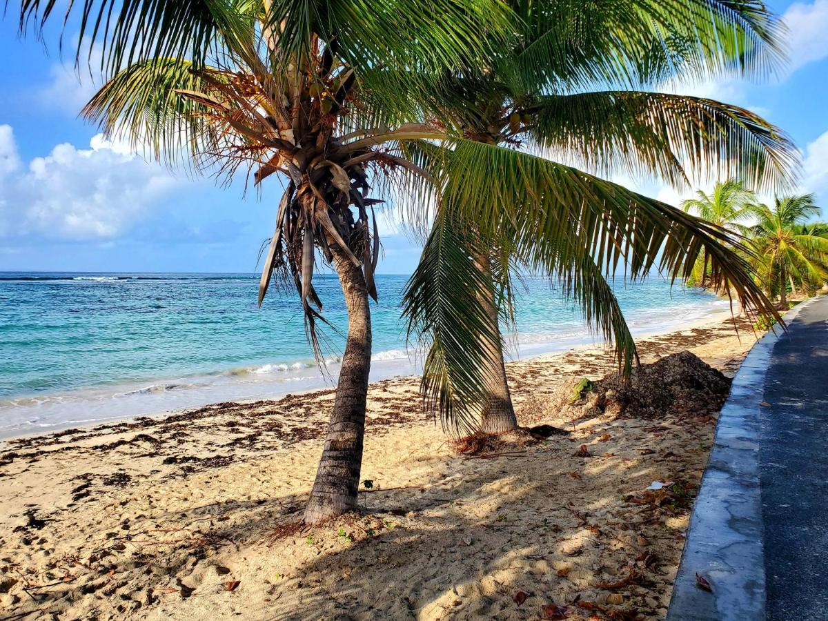 Villa L'Anjou Creole A Sainte Anne En Guadeloupe Avec Piscine Privee Et 2 Chambres Pour 4 Personnes Exterior photo