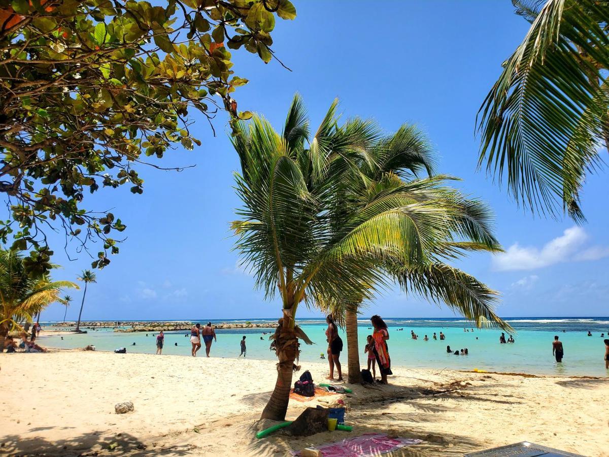 Villa L'Anjou Creole A Sainte Anne En Guadeloupe Avec Piscine Privee Et 2 Chambres Pour 4 Personnes Exterior photo