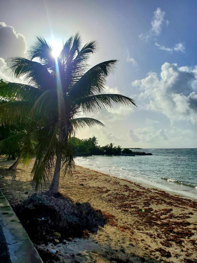 Villa L'Anjou Creole A Sainte Anne En Guadeloupe Avec Piscine Privee Et 2 Chambres Pour 4 Personnes Exterior photo
