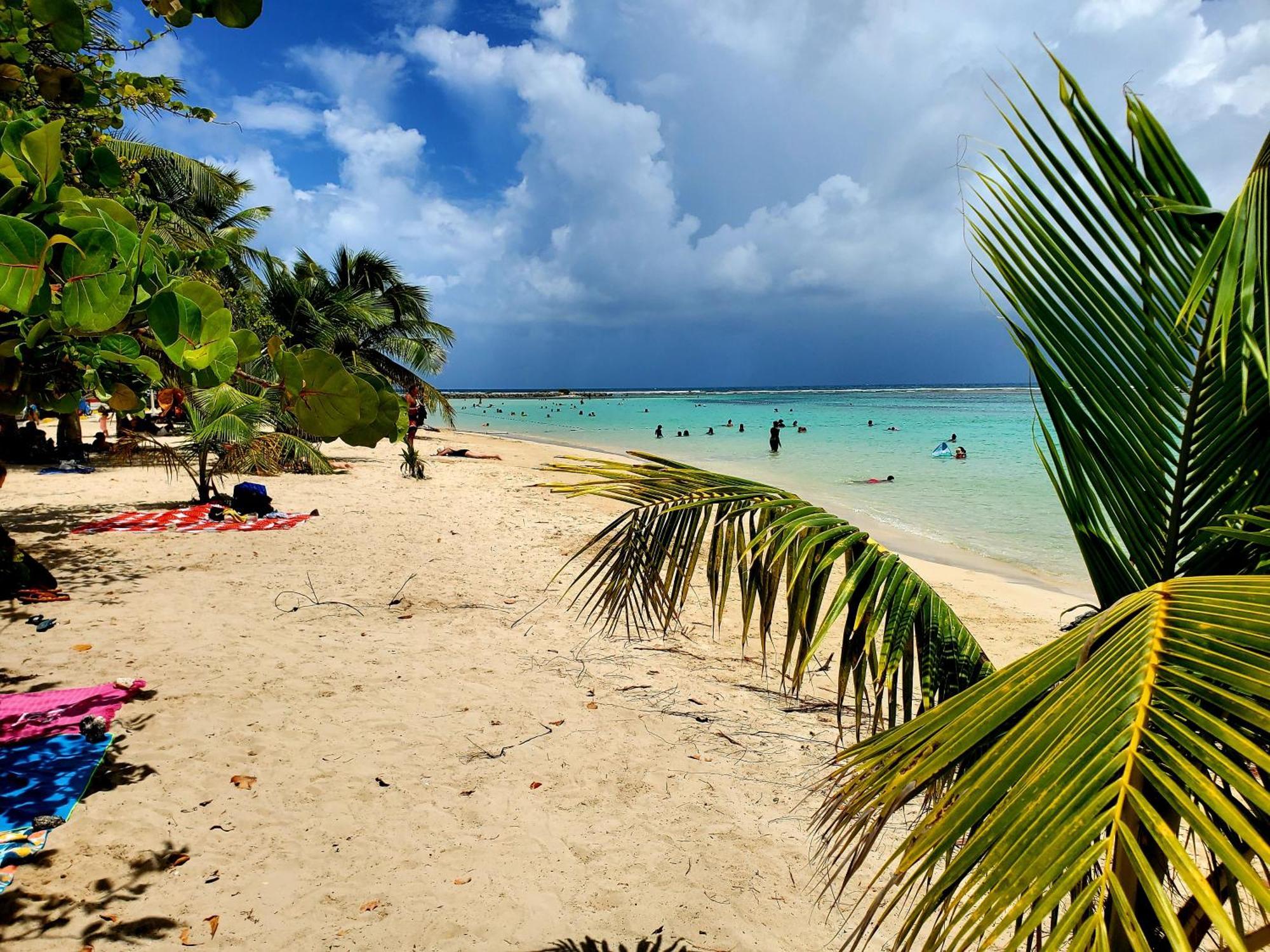 Villa L'Anjou Creole A Sainte Anne En Guadeloupe Avec Piscine Privee Et 2 Chambres Pour 4 Personnes Exterior photo