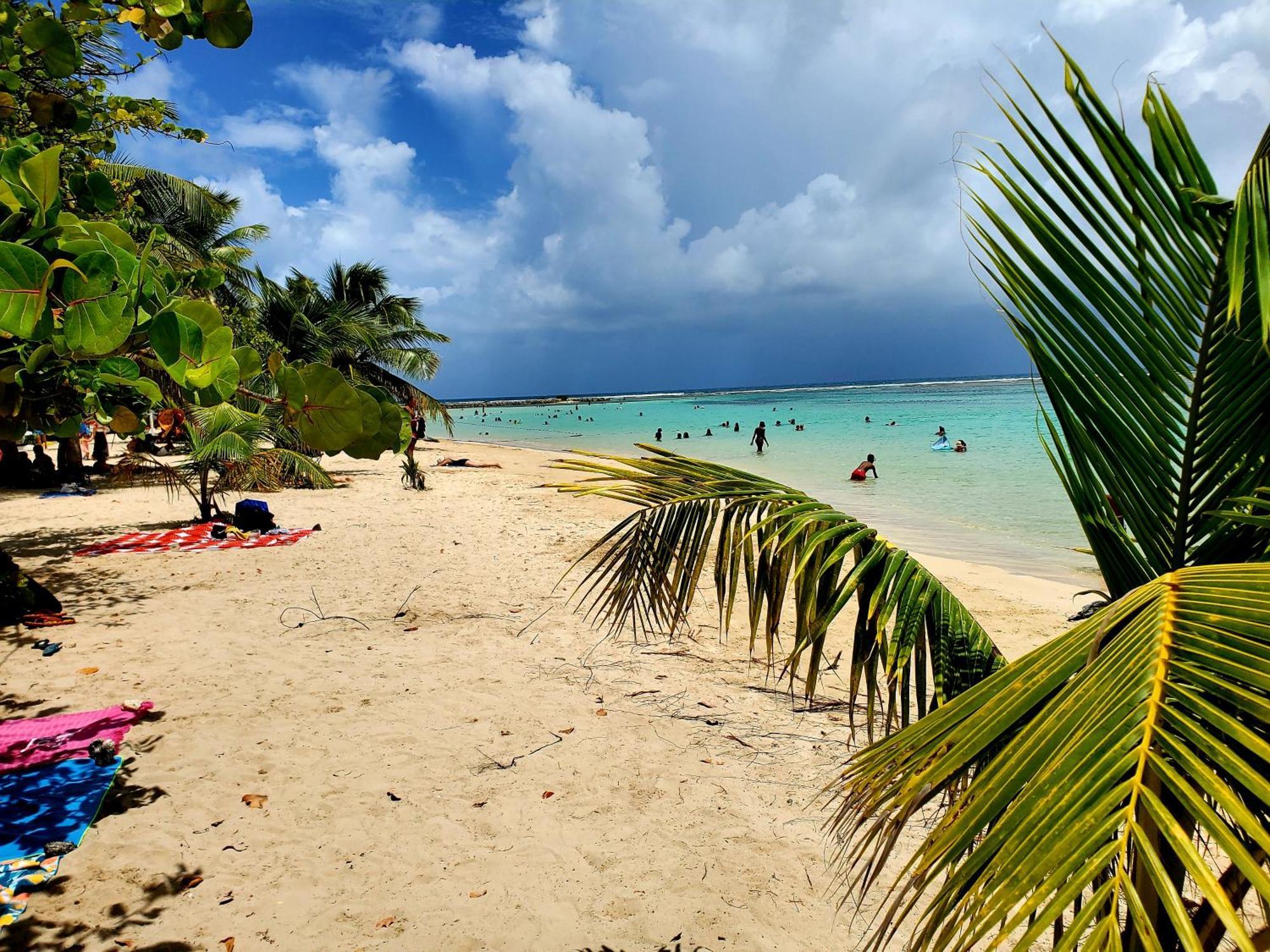 Villa L'Anjou Creole A Sainte Anne En Guadeloupe Avec Piscine Privee Et 2 Chambres Pour 4 Personnes Exterior photo